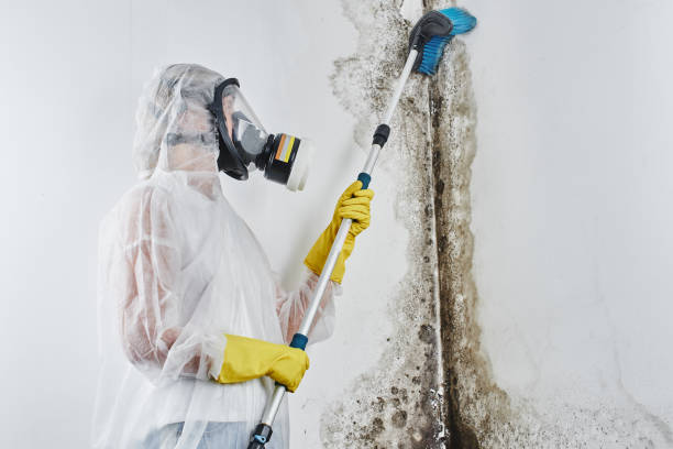 Best Crawl Space Mold Removal  in Newtown Grant, PA