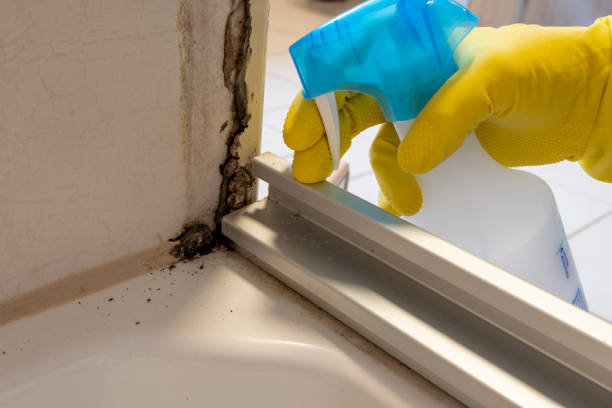 Best Mold Damage Repair  in Newtown Grant, PA