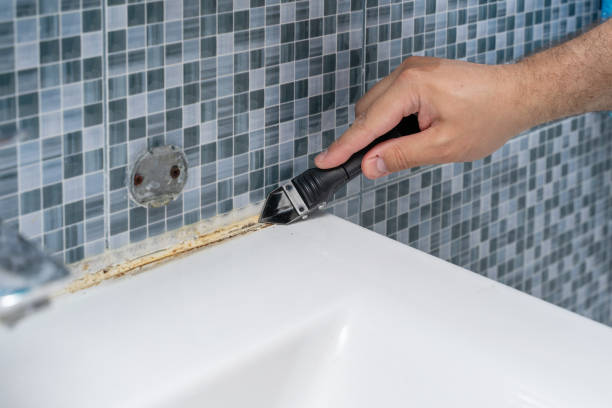 Best Professional Mold Removal  in Newtown Grant, PA
