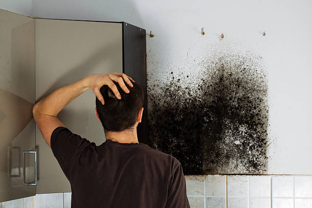 Best Attic Mold Removal  in Newtown Grant, PA